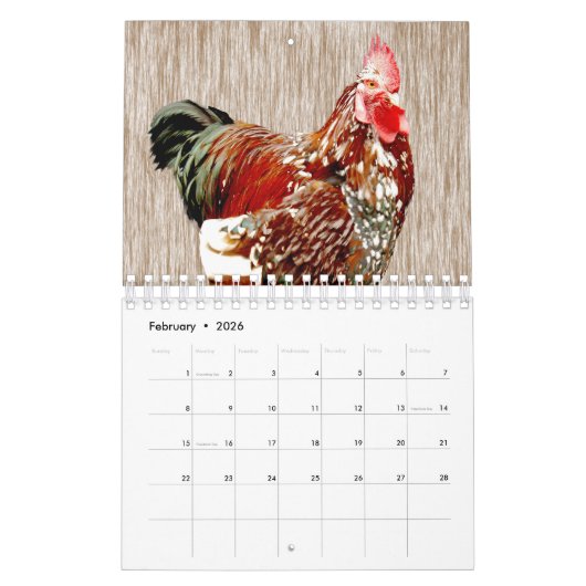 kippen en roosters, kalender (Feb 2026)