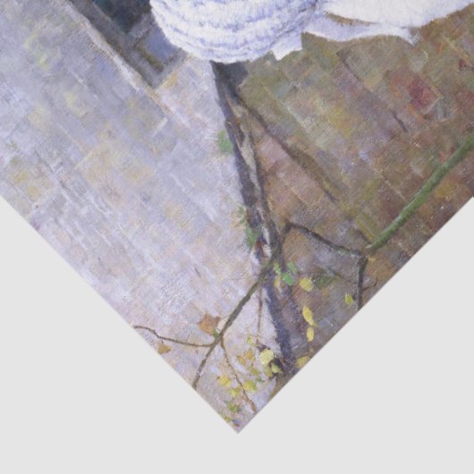  kippen en roosters plakpapier tissuepapier (Detail)