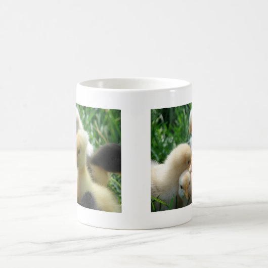 Kippen en schokken koffiemok (Center)