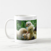 Kippen en schokken koffiemok (Links)