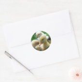 Kippen en schokken ronde sticker (Envelop)