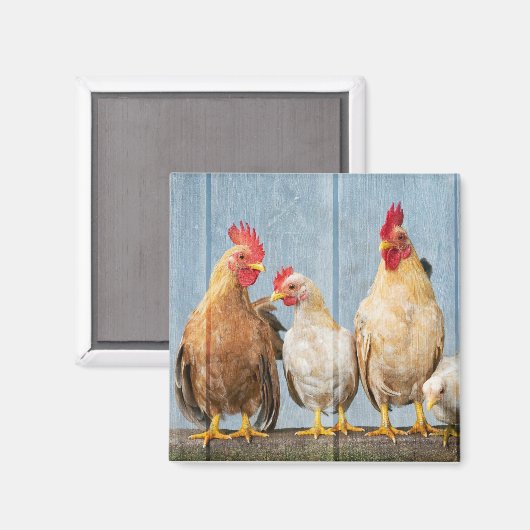 Kippen en vrienden magneet (Voorkant / Achterkant)