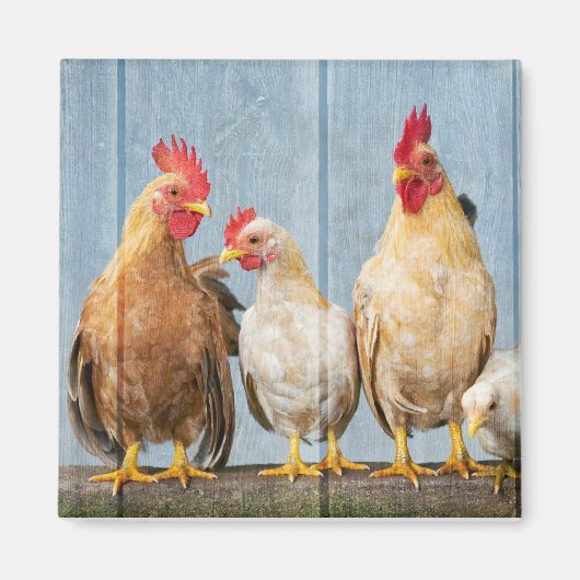 Kippen en vrienden magneet (Voorkant)