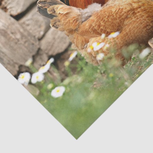 Kippen en Witte Bloemen Tissuepapier (Detail)