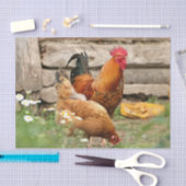 Kippen en Witte Bloemen Tissuepapier (Craft)