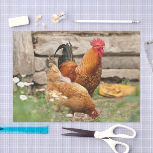 Kippen en Witte Bloemen Tissuepapier (Craft)