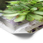 kippen en zuilen in een Natuur van een emmer Foto Afdruk (Hoek)