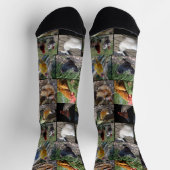 Kippen Fotocollage, Sokken van bemanningsleden (Top)