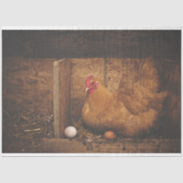Kippen Hen Eg Boerderij - afgiftepapier Tissuepapier