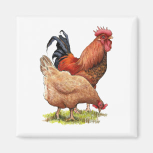 Kippen: Hen en Rooster Color Pencil Tekening Magneet