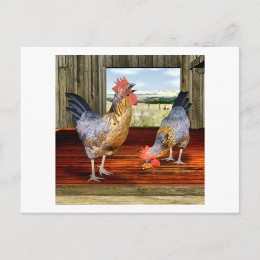 Kippen in Barn Briefkaart (Voorkant)