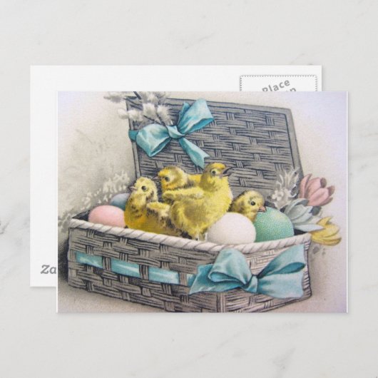Kippen in een mand met eieren en bloemen briefkaart (Voorkant / Achterkant)