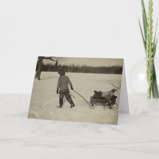 Kippen in het Wenskaart van de Sneeuw Kaart (Voorkant)