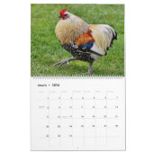 Kippen Kalender (Mar 2026)