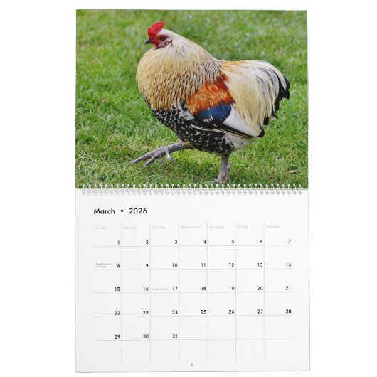 Kippen Kalender (Mar 2026)