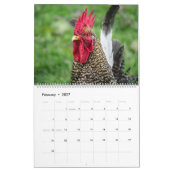 Kippen Kalender (Feb 2027)