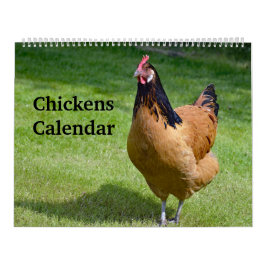Kippen Kalender