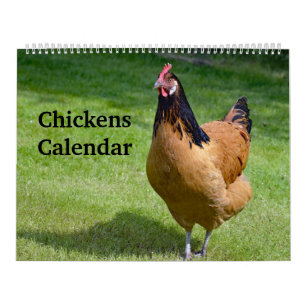 Kippen Kalender