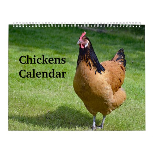 Kippen Kalender (Hoes)
