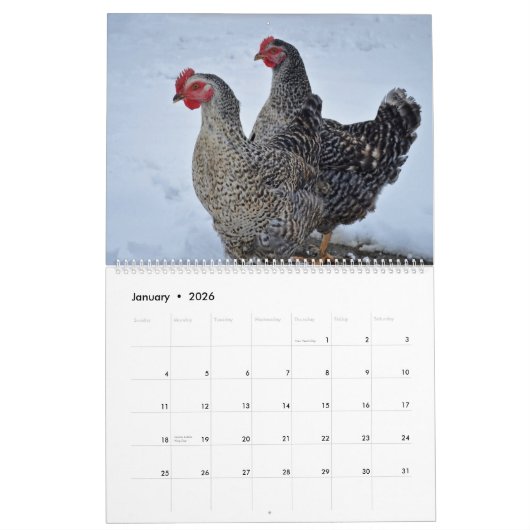 Kippen Kalender (Jan 2026)