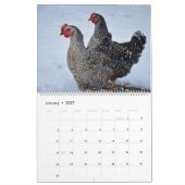 Kippen Kalender (Jan 2027)