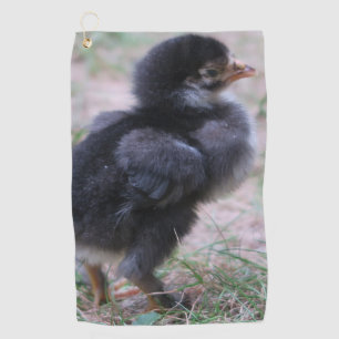 kippen, kuikens, kippen, kuikens, dieren, vogels, golfhanddoek