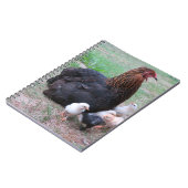 kippen, kuikens, kippen, kuikens, dieren, vogels, notitieboek (Linkerzijde)