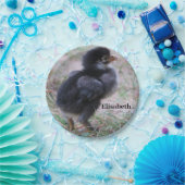 kippen, kuikens, kippen, kuikens, dieren, vogels, papieren bordje (Feest)