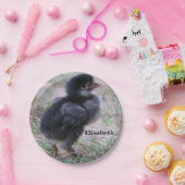 kippen, kuikens, kippen, kuikens, dieren, vogels, papieren bordje (Feest)