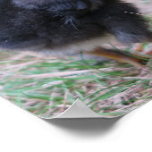 kippen, kuikens, kippen, kuikens, dieren, vogels, poster (Hoek)