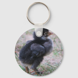 kippen, kuikens, kippen, kuikens, dieren, vogels, sleutelhanger