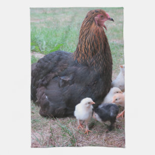kippen, kuikens, kippen, kuikens, dieren, vogels, theedoek