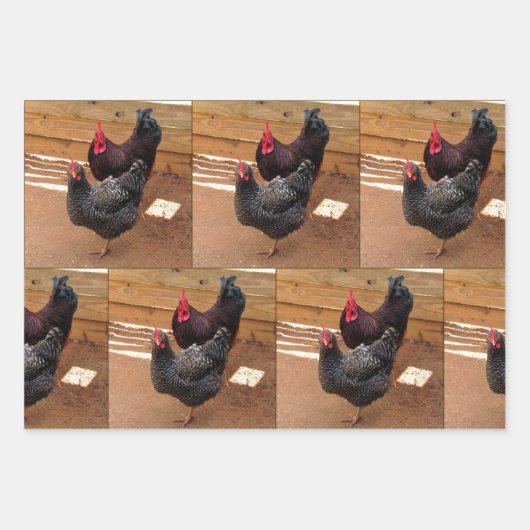 Kippen - Levensduur van Boerderijen - Papieren vel (Voorkant)