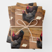 Kippen - Levensduur van Boerderijen - Papieren vel (In situ)