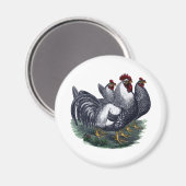  kippen magneet (Voorkant / Achterkant)