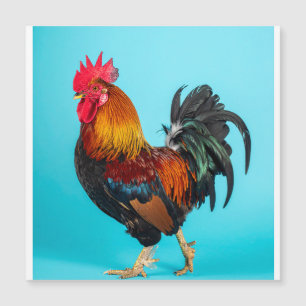 kippen magnetische kaart