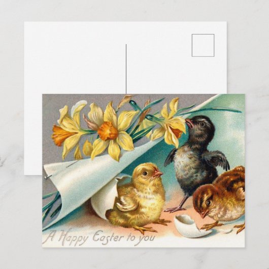  kippen met gele bloemen Pasen Briefkaart (Voorkant / Achterkant)
