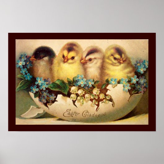 KIPPEN MET STROMEN IN EENVOUDIGERE EGG POSTER (Voorkant)