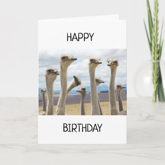 KIPPEN MET VERVUILDE ZEGGEN HAPPY BIRTHDAY KAART (Voorkant)