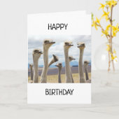 KIPPEN MET VERVUILDE ZEGGEN HAPPY BIRTHDAY KAART (Gele Bloem)