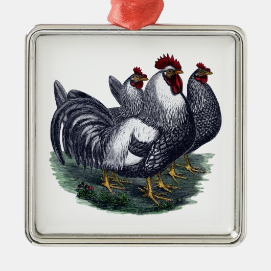  Kippen Metaal Ornament (Voorkant)