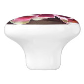 Kippen n Chicks Succulent Plant Green Maroon Keramische Knop (Zijkant)