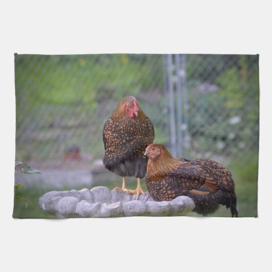 Kippen op Birdbat Kitchen Towel Theedoek (Horizontaal)