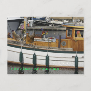 Kippen op Zee - Humor Briefkaart