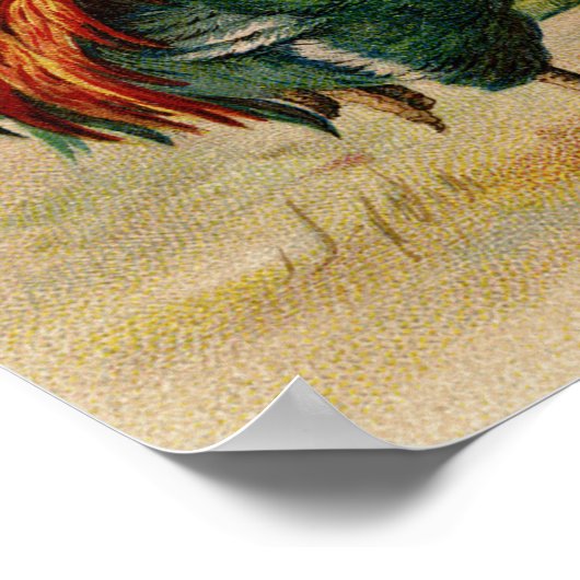  kippen poster landmuur (Hoek)