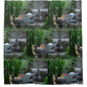 Kippen roddelen rond de waterkoeler douchegordijn (Voorkant)