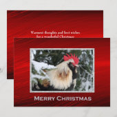 Kippen Rooster Pine Snow-kerstfoto Feestdagenkaart (Voorkant / Achterkant)