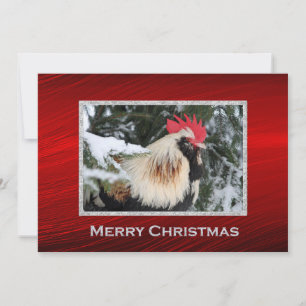 Kippen Rooster Pine Snow-kerstfoto Feestdagenkaart