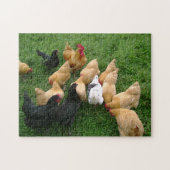Kippen Roosters Hens Flock Legpuzzel (Horizontaal)