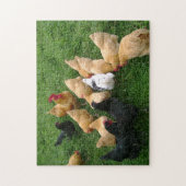 Kippen Roosters Hens Flock Legpuzzel (Verticaal)